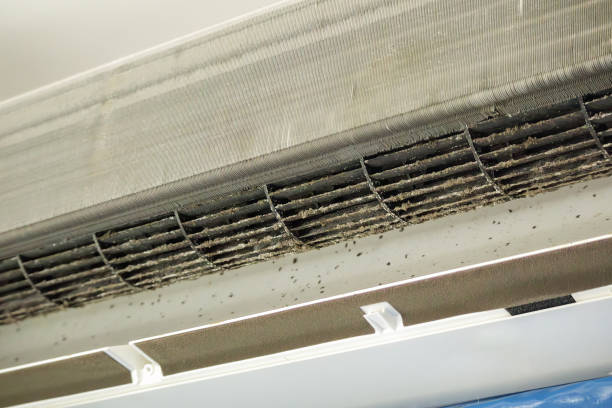 Best Emergency Air Duct Cleaning  in Cut Off, LA