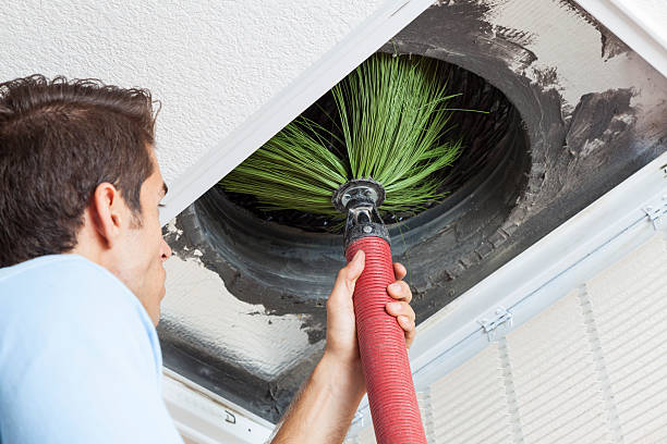 Best Home Air Vent Cleaning  in Cut Off, LA